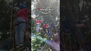 Mango Mist Resort | Namma Bengaluru #bengaluru #dayouting #weekendgetaway #fun #shortsfeed