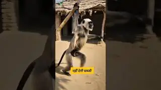 नहीं देगी सब्जी #comedyvideos #dontlaught #comedy #funny #hilariousfails #funnyclip #monkeychallenge