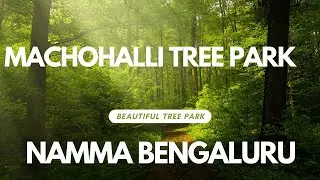 Bengaluru Best-Kept Secret | Machohalli Park NatureLover