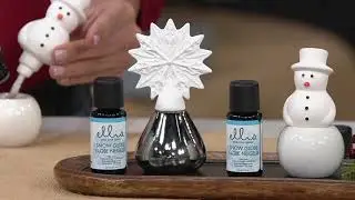 HoMedics Choice of Porcelain Holiday Aroma Diffusers w/Oil on QVC