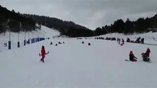 Choque de trineos en Javalambre