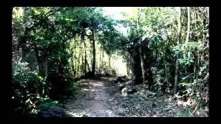 Unseen HK ep.2:  'Sai Kung' by วิษณ์(บอย)