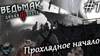 Прохождение игры►&laquo;Ведьмак 3: Дикая охота&raquo;►Прохладное начало►#1