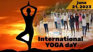 international yoga day | 21 june 2023 yoga diwas | अंतर्राष्ट्रीय 🧘&zwj;♀️योग दिवस #musharrafhayat