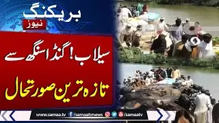 Heavy Flood In Punjab | Latest Update From Ganda Singh Wala | Samaa TV