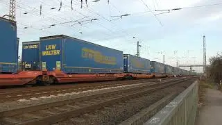 248 041 EGP mit LKW Walter Umleiter und 383 217 Budamar mit LKW Walter Umleiter