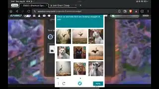 Join Shortcut Speedrun  | Enso Zealy Tutorial