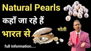 how to export natural pearls from india #rajeevsaini #export I so expensive pearls