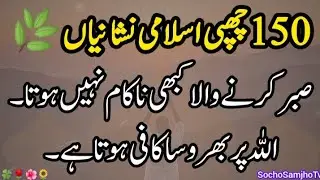 Hikmat o nasihat Ki Baten | Hidden Islamic Signs in Daily Life | Urdu Islamic Facts & Wisdom🍀