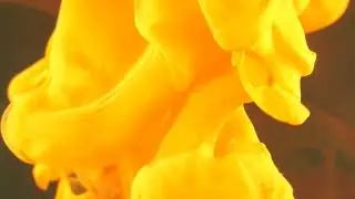 Yellow smoke background effect video clip Copyright Free