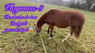 VLOGMASS#3//Procházka do lesa💕Zachytili jsme ducha?😱