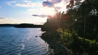 Northumberland part 2 Extended | NorthEast England | Scenic Relaxation 4K | Keilder reserve forest