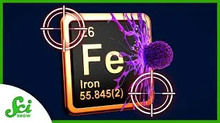 Targeting Iron to Fight Cancer | SciShow News