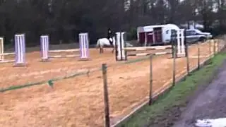 It was not your fault, but mine &hearts; [ShowJumping]
