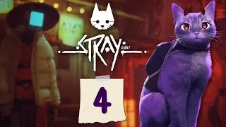 Finding Clementine (Stray) *Episode 4