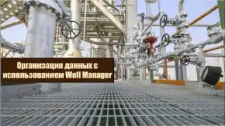 Организация данных с использованием Well Manager