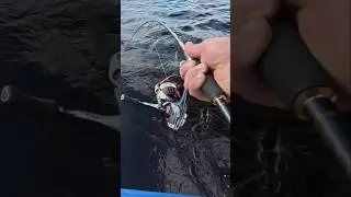 Что это за монстр?!! #рыбалка #fishing #cope