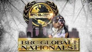 AMERICAN BULLY DOG SHOW BRC GLOBAL NATIONALS 2018 KILLINOIS KENNELS SHOW VLOGS #18