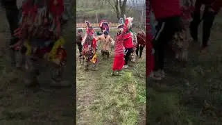 Caiuti din radeni iasi 2021