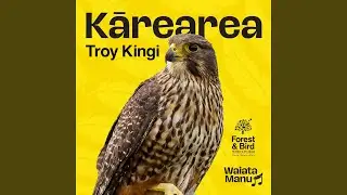 Kārearea