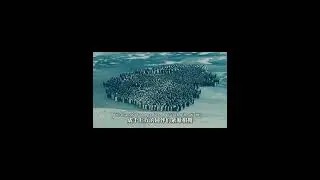 帝企鹅：零下60度的繁衍！Emperor Penguin: Reproduction at minus 60 degrees Celsius!