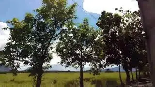 Pila road....victoria laguna