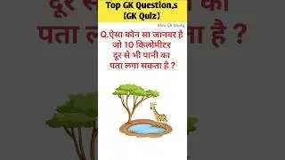 GK questions #gk #sarkarinakurigk #gkfacts #shorts #gkinhindi #viral#shivgkstudy @shivgkstudy243