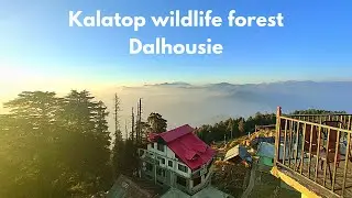 Kalatop wildlife forest, dalhousie | Kalatop forest rest house | Chamba | Dalhousie vlog 3 |
