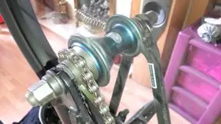 Wethepeople zodiac salt plus hub