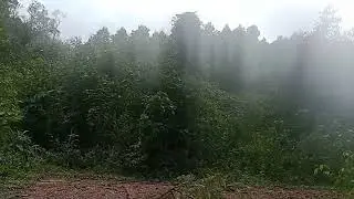 #Bike26/#SemCortes/#DownHill/#Velocidade/#Foguete