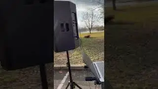 LD Systems Stinger 15A G3