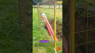 БЕЛОКАМЕННЫЕ РУИНЫ ПРОСПЕКТА ВЕТЕРАНОВ ❗