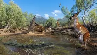 Fossils Reveal What Drove Giant Crocs, Kangaroos, and Wombats to Extinction