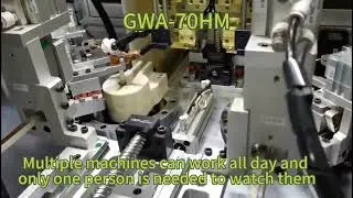 GWA-70HM Fully automatic hook winding machine for two phase common mode chokes