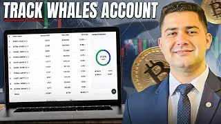 How to Track Crypto Whales & Save Yourself From Liquidation &mdash; Full Guide!