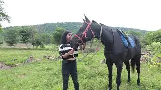 Paalaar Valley - Part 1