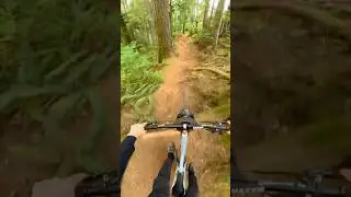Going fast Beautiful PNW MTB