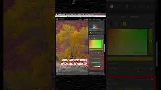 Как исправить осенние цвета в Lightroom (изменить зеленые деревья на желтые)