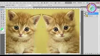 How to Use Single Column Marquee Tool in Photoshop