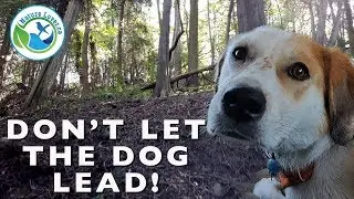 Chloe The Foxhound Takes Us For A Walk At Point Farms Beach - Goderich, Ontario