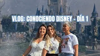CONOCIENDO EL MARAVILLOSO MUNDO DE DISNEY 🏰💖