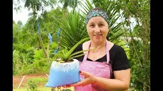 O VASO DE FLOR MAIS FÁCIL DE TODOS!