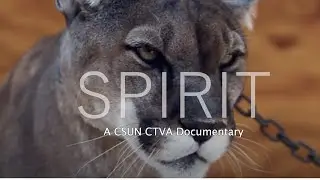 Spirit -- A Documentary
