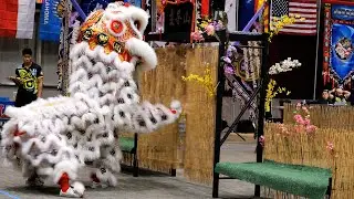 USDLDF National Dragon and Lion Dance Championships 2023 Women Austin Texas- mua lan 4K