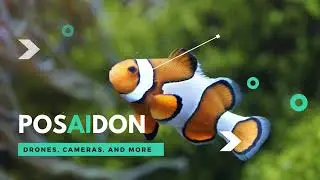 SIH-2022 : Automated  Identification of Fish Species (AutoFiS) - Envision Gamma
