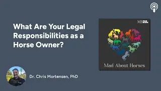 What Are Your Legal Responsibilities as a Horse Owner?