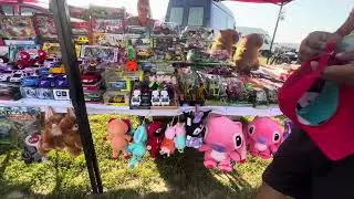 QUICK VISIT TO A TRADITIONAL ROMANIAN OPEN AIR MARKET (T&Icirc;RG) IN B&Atilde;TARCI, SATU MARE