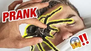 SPINNE im GESICHT PRANK an SIMON WILL! 🕷️