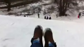Sledging on Mousehold Heath