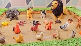 Uncover the Muddy jungle creatures and Forest Zoo Animals Messy Mud Fun!